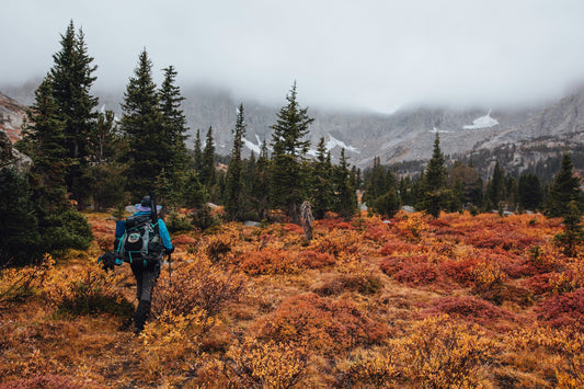 🍂 Montana’s Fall Outdoor Adventures: Fishing, Hunting, and Hiking Tips