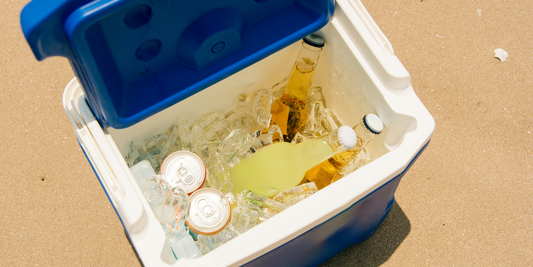 How to Choose the Perfect Cooler for Your Adventure: 5 Things to Know Before You Buy