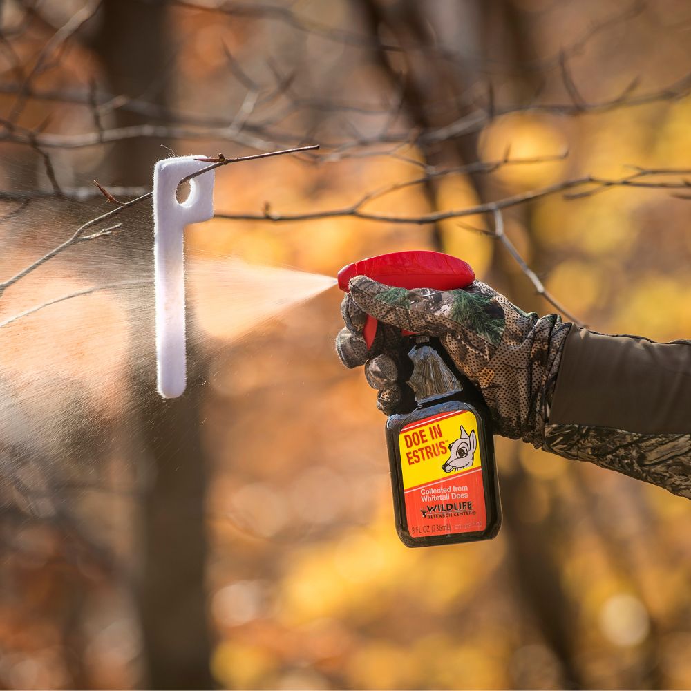 Hand holding a bottle of 'Due in Estrus' spray with a hunting knife against a blurred autumn forest background.