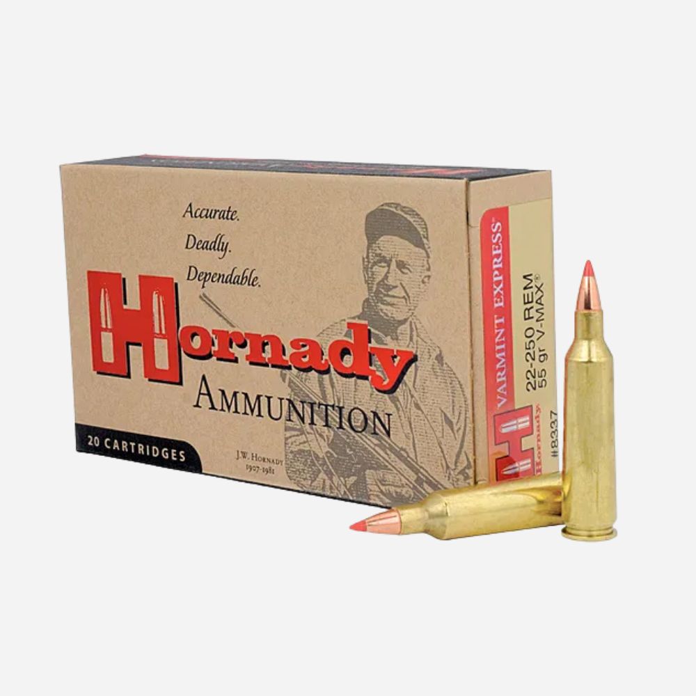 A box of Hornady Ammunition varmint express 22-250 Remington cartridges, shown with two brass bullets featuring copper tips in front on a light gray background.