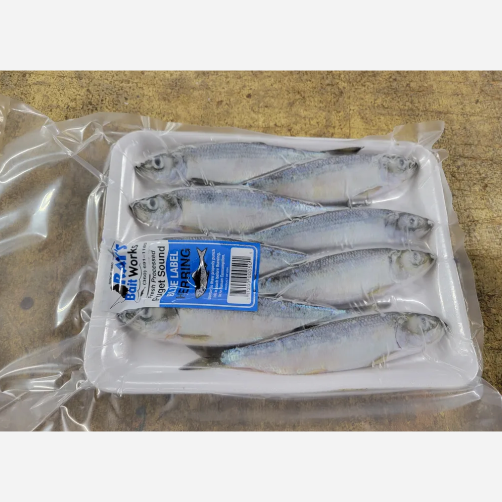 Pryor Creek 12pcs Frozen Herring Blue Label Bait