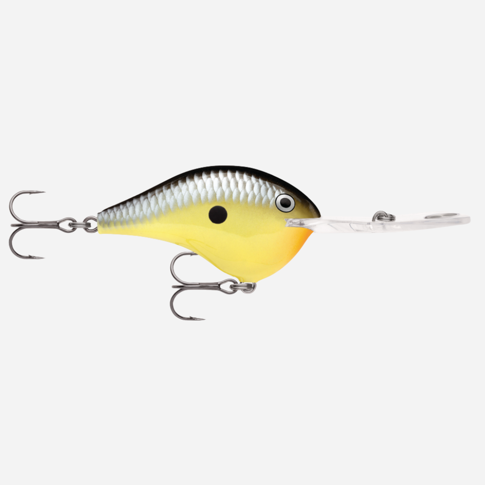 Rapala DT Series Fishing Lure - Old School