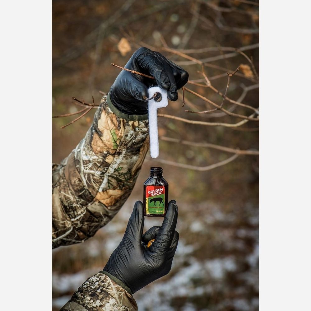 Gloved hands holding Golden Buck scent attractant bottle and lifting a scent wick on a tree branch outdoors