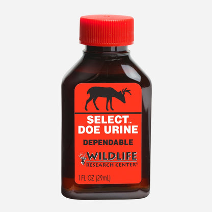 Bottle of Select Doe Urine with red cap on a white background
