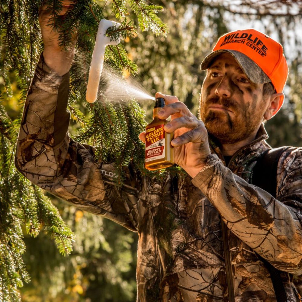 Man in camouflage and orange cap using a spray bottle on tree branches outdoors