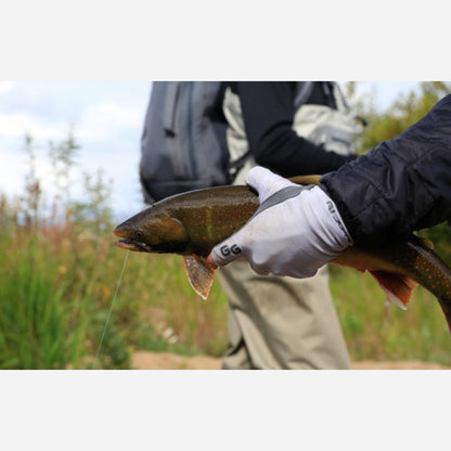 Person holding a fish outdoors with a blurred background