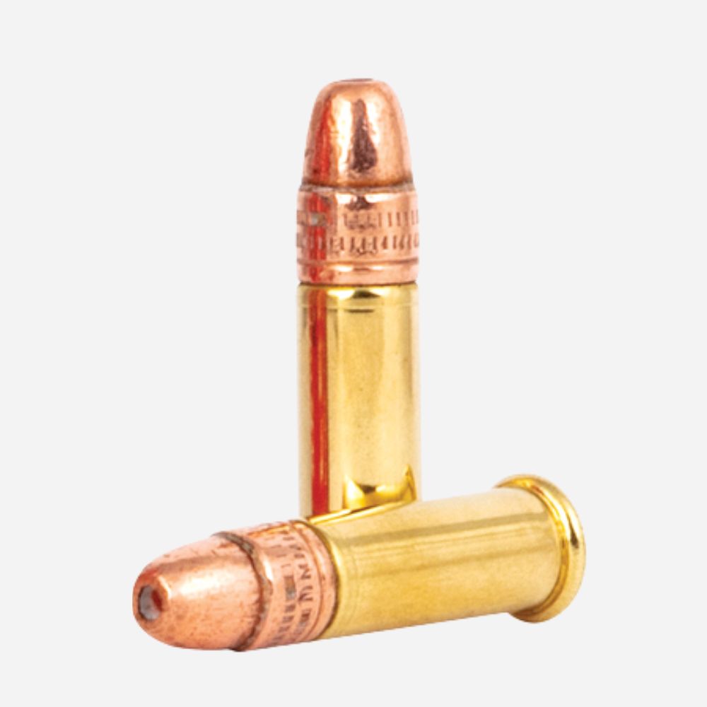 Two bullets on a white background