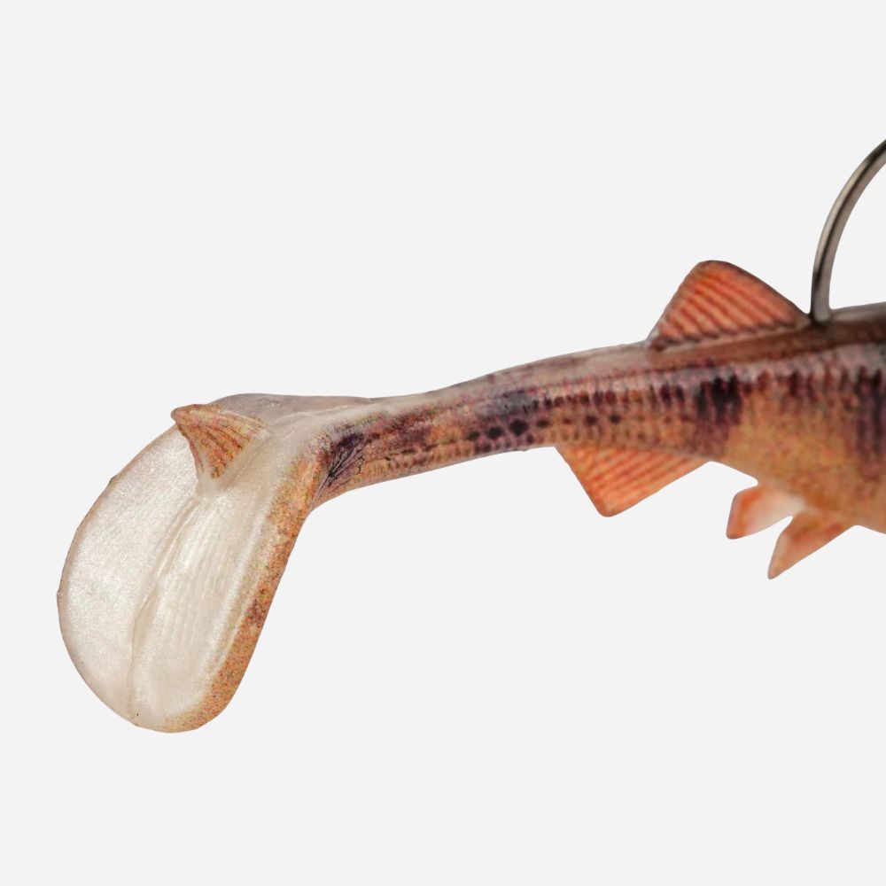 Close-up of a fish-shaped keychain on a white background