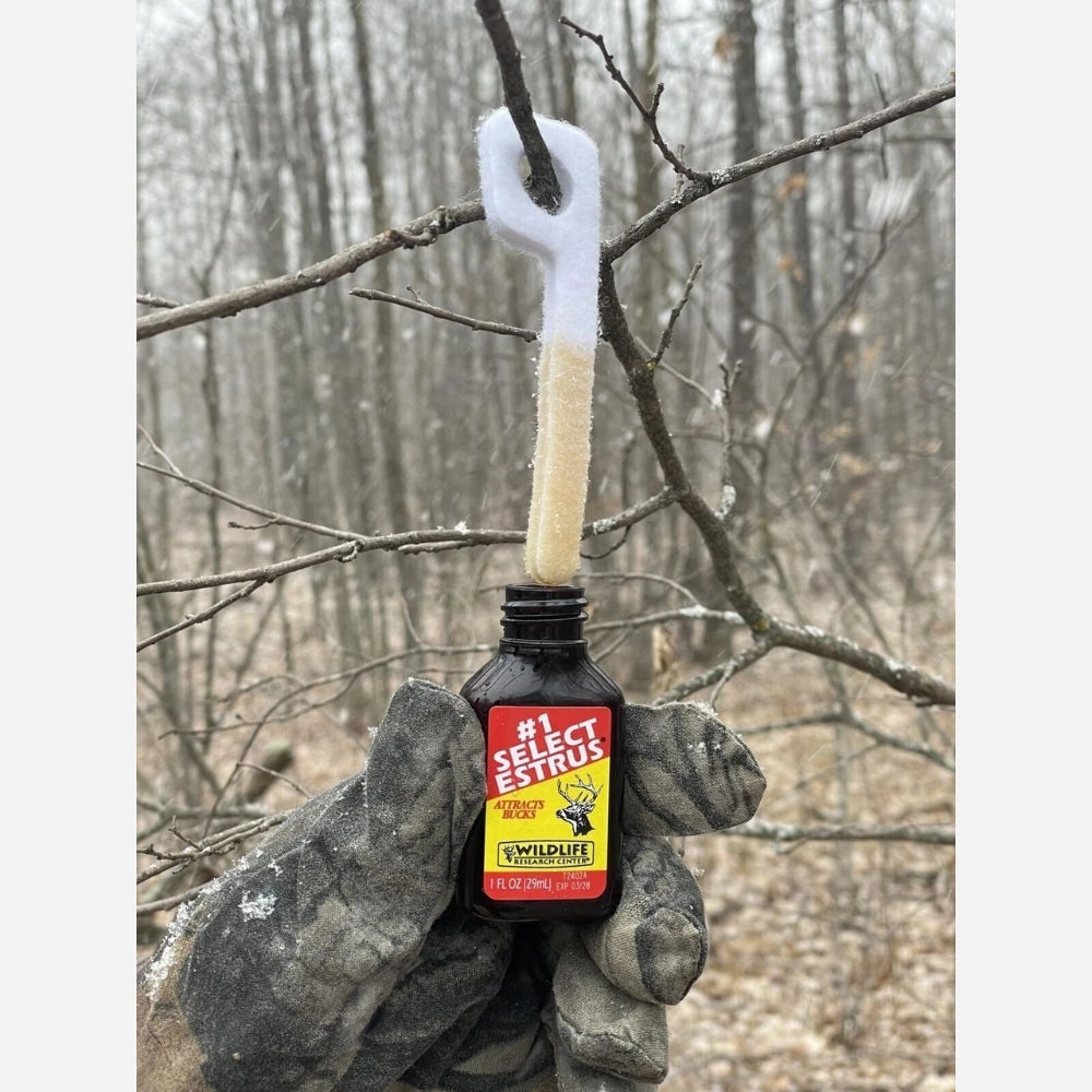 Bottle of Wildgame Instant Bait with a brush on a branch in a forest setting