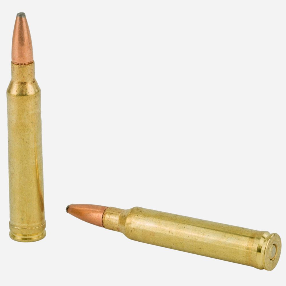Two brass rifle cartridges on a white background