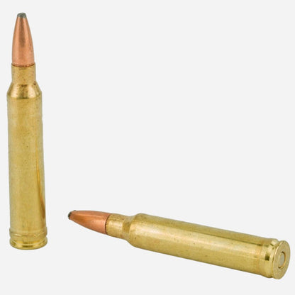 Two brass rifle cartridges on a white background