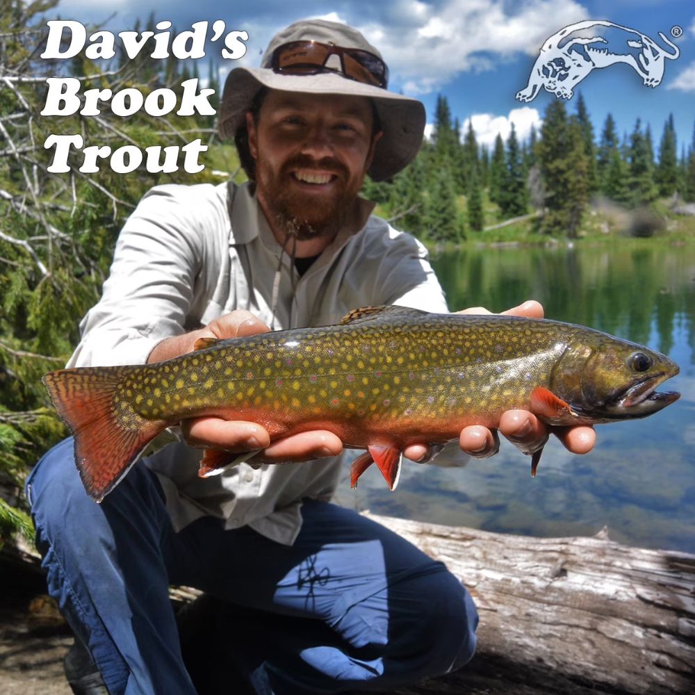 A smiling man kneeling by a lake holds a large brook trout over his lap outdoors. Trees, water, and a log are visible in the background, with the text 'David's Brook Trout' and a fish logo in the top corners.