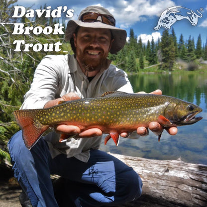 A smiling man kneeling by a lake holds a large brook trout over his lap outdoors. Trees, water, and a log are visible in the background, with the text 'David's Brook Trout' and a fish logo in the top corners.