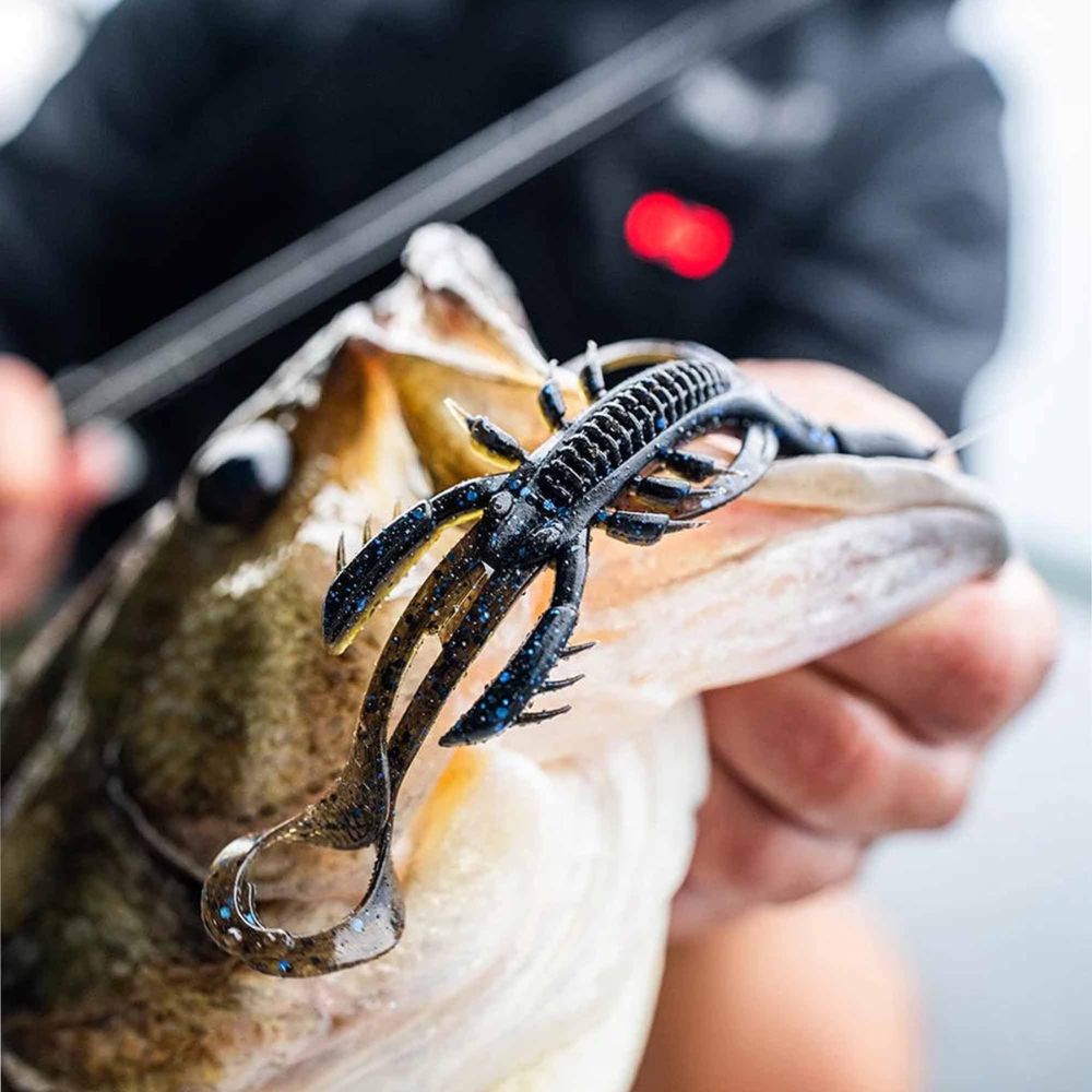 Fishing lure attached to a fish caught on a fishing hook.