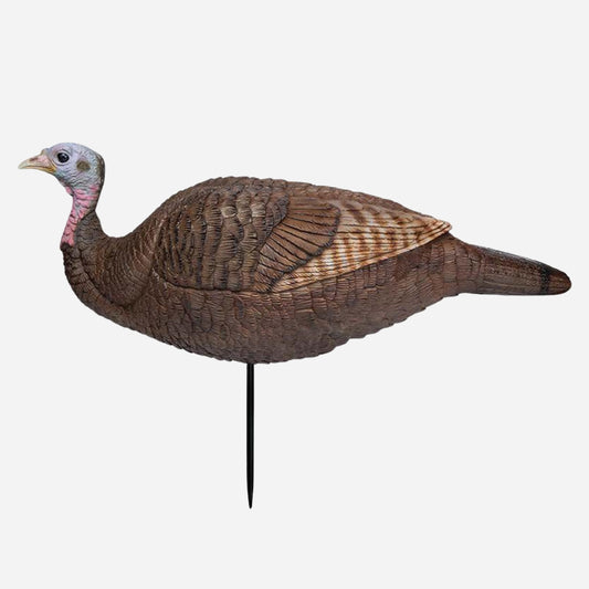 Turkey decoy on a white background