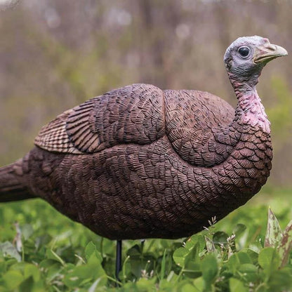 Turkey decoy in a natural setting with blurred background