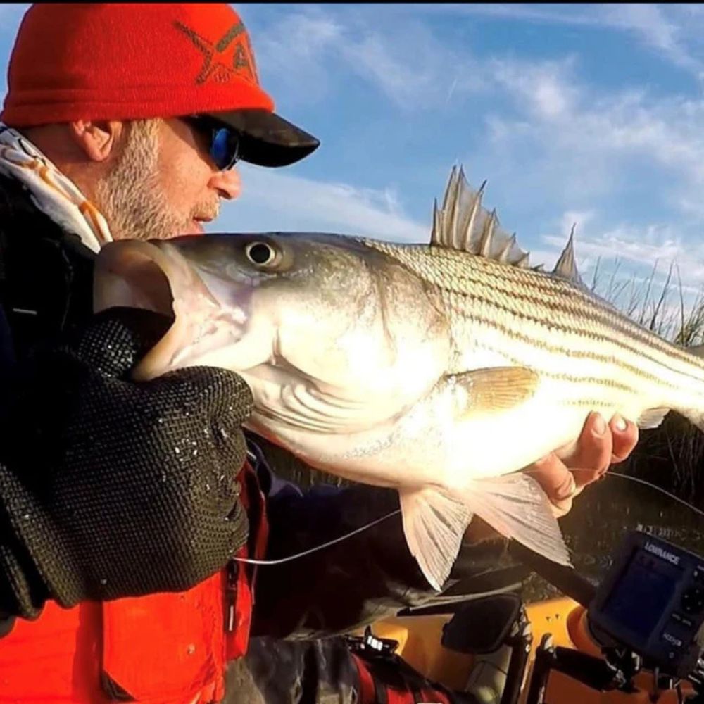 Man holding a large fish outdoors with a clear sky background