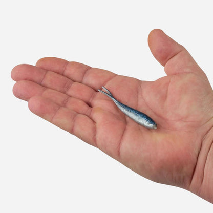 Small metallic fish on a person's palm against a white background