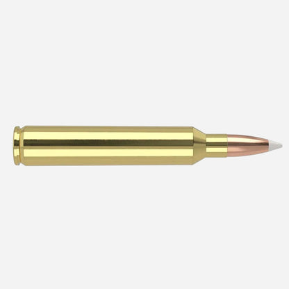 Gold-colored rifle cartridge on a white background