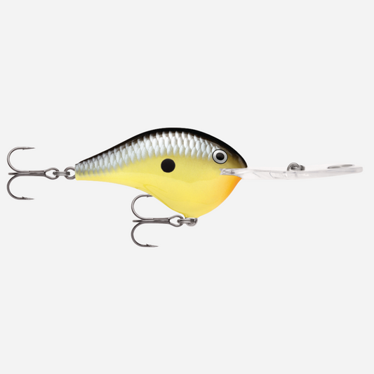 Rapala DT Series Fishing Lure - Old School
